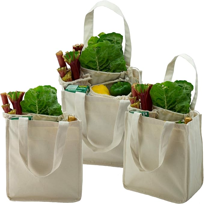 Best Reusable Grocery Bags That Save Money